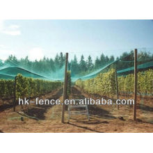 Agriculture insect mesh/Fruit tree mesh netting